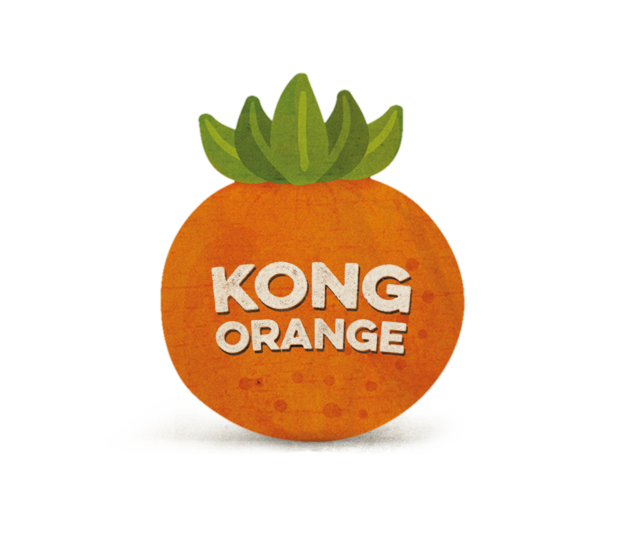 Kong Orange logo